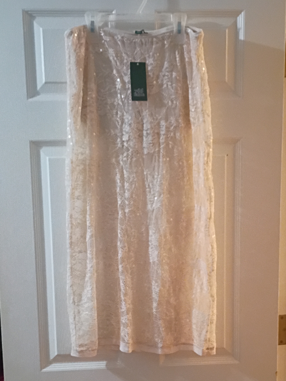 wild fable Cream Lace Maxi Skirt
